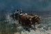 Colons de la prairie rentrant chez eux - Harvey T. Dunn — Ansicht des Kunstwerks