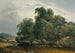 Landschaft mit Herde und Schäferin - Heinrich Peyer — Ansicht des Kunstwerks