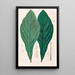 Icones Aroidearum Pl12 - Heinrich Wilhelm Schott — gerahmtes Bild an der Wand