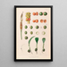 Icones Aroidearum Pl27 - Heinrich Wilhelm Schott — gerahmtes Bild an der Wand