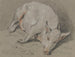 Schweine liegend - Hendrik Willem Schweickhardt — Ansicht des Kunstwerks