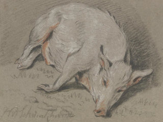 Schweine liegend - Hendrik Willem Schweickhardt — Ansicht des Kunstwerks
