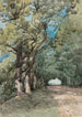 Allée sous-bois - Henri-Joseph Harpignies — Ansicht des Kunstwerks