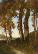 Bäume am Ufer der Loire - Henri-Joseph Harpignies — Ansicht des Kunstwerks