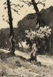 Baumstudie - Henri-Joseph Harpignies — Ansicht des Kunstwerks