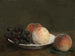 Pfirsiche und Trauben in einer Porzellanschale - Henri Fantin-Latour — Ansicht des Kunstwerks