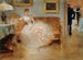 Der Ball - Henri Gervex — Ansicht des Kunstwerks