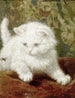 Neugier - Henriette Ronner-Knip — Ansicht des Kunstwerks