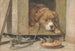 Terrain gefährlich - Henriette Ronner-Knip — Ansicht des Kunstwerks