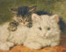Zwei Kätzchen - Henriette Ronner-Knip — Ansicht des Kunstwerks
