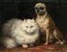 Zwei Freunde - Henriette Ronner-Knip — Ansicht des Kunstwerks
