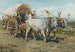 Bœufs transportant du foin - Henry Enrico Coleman — Ansicht des Kunstwerks