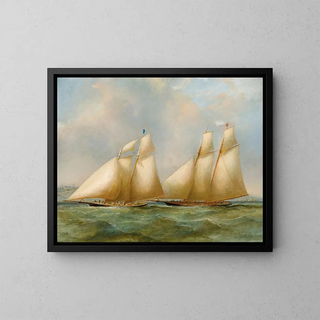 Henry Sargeant - Yacht Racing.webp