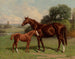 Castalie et le poulain - Henry Stull — Ansicht des Kunstwerks