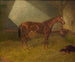Ein Rennpferd in einer Stallung - Henry Stull — Ansicht des Kunstwerks