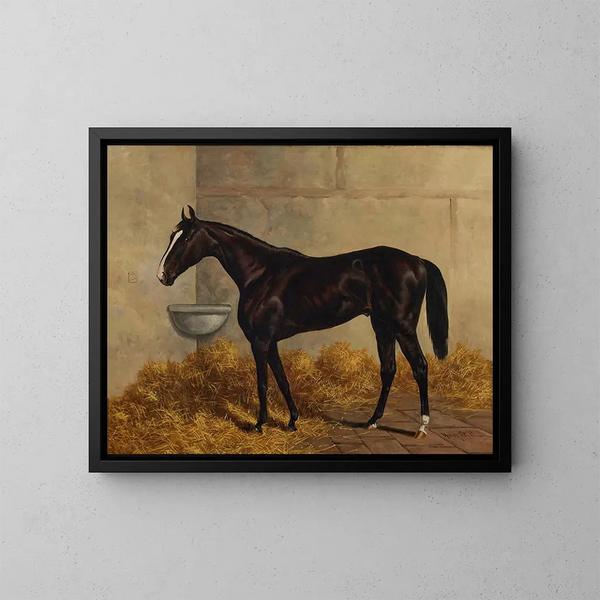 Ein schwarzes Rennpferd in einer Stallung - Henry Stull — gerahmtes Bild an der Wand
