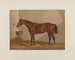 Luke Blackburn - Henry Stull — Ansicht des Kunstwerks