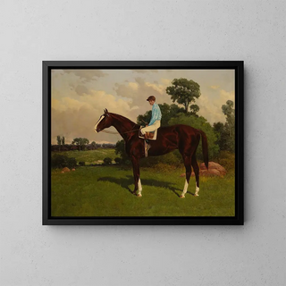 Henry Stull - Nasturtium with Jockey Up.webp