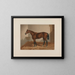 Pferd von Ten Broeck Bay - Henry Stull — gerahmtes Bild an der Wand