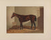 Thora - Henry Stull — Ansicht des Kunstwerks
