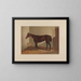 Thora - Henry Stull — gerahmtes Bild an der Wand