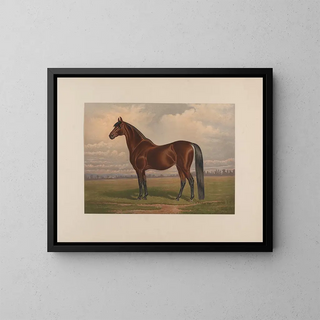 Henry Stull - Volunteer The greatest living trotting sire.webp