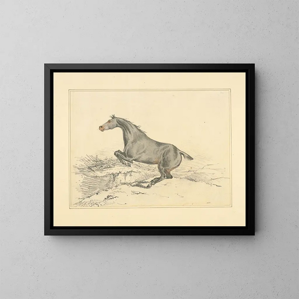 Springendes Pferd - Henry Thomas Alken — gerahmtes Bild an der Wand