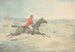 Cavalier sur un cheval brun sautant un mur - Henry Thomas Alken — Ansicht des Kunstwerks