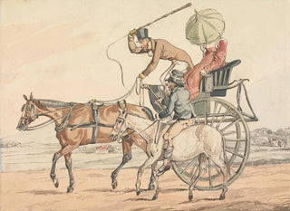 Henry Thomas Alken - Sporting Discoveries or the Miseries of Driving You Discover You Have Obtained a Steady One.webp