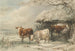 Vaches en hiver - Henry Willis — Ansicht des Kunstwerks