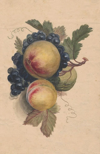 Henryka Beyer - Peaches and grapes.webp