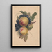 Pfirsiche und Trauben - Henryka Beyer — gerahmtes Bild an der Wand