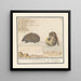 Igel Erinaceus europaeus und eine Muscardine Muscardinus avellanarius 1 yser vercken 2 - Anselmus Botius de Boodt — gerahmtes Bild an der Wand