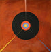 Der Schwan Nr. 18 - Hilma af Klint — Ansicht des Kunstwerks