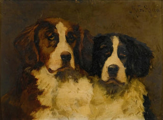 Hugh George Shaw - Study Of Two St Bernards.webp