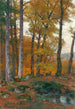 Eine lichtdurchflutete Waldlichtung mit Hirschen im Herbst - Hugo Darnaut — Ansicht des Kunstwerks