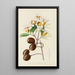 Gardenia globosa - Illtyd Buller Pole-Evans — gerahmtes Bild an der Wand