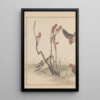 Imao Keinen - Keinen kach gafu Pl057.webp