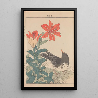 Imao Keinen - Keinen kach gafu Pl089.webp