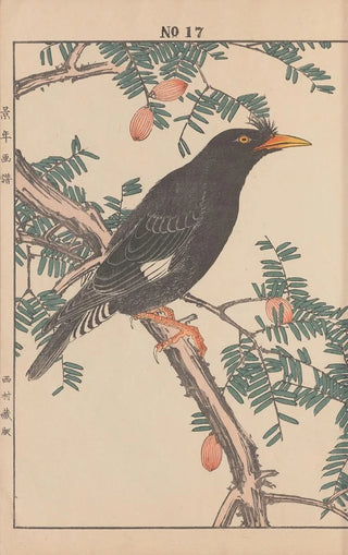 Imao Keinen - Keinen kach gafu Pl141.webp