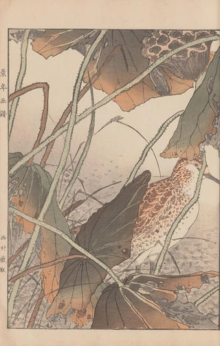 Imao Keinen - Keinen kach gafu Pl149.webp