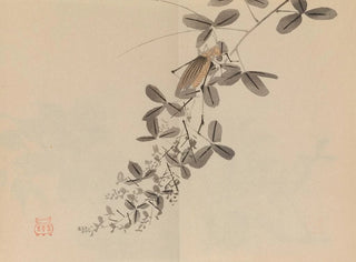 Imao Keinen - Keinen shugajo Pl40.webp