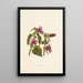 Hauhele - Isabella McHutcheson Sinclair — gerahmtes Bild an der Wand