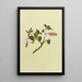 KokioKeokeo - Isabella McHutcheson Sinclair — gerahmtes Bild an der Wand