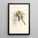 Papala - Isabella McHutcheson Sinclair — gerahmtes Bild an der Wand