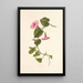 Pilikai - Isabella McHutcheson Sinclair — gerahmtes Bild an der Wand