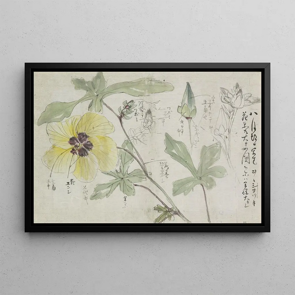 Ishikawa Kazan - Schetsblad met malve.webp