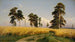 Weizenfeld - Ivan Ivanovich Shishkin — Ansicht des Kunstwerks