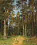 Siverskaya - Ivan Ivanovich Shishkin — Ansicht des Kunstwerks