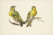 Zwei Lerchen - J H van Loon — Ansicht des Kunstwerks